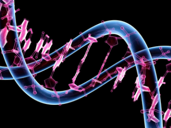 Американские ученые выявили набор генетических маркеров болезни Альцгеймера