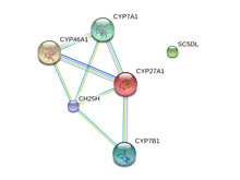 Человеческий фермент CH25H защищает клетки от самых опасных вирусов