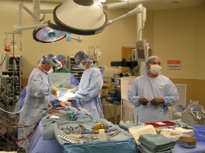 В Австралии впервые проведена операция по пересадке искусственного сердца 