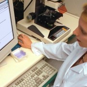 К 1 декабря 2012 года к системе электрической записи к врачу будут подключены все поликлиники на территории страны