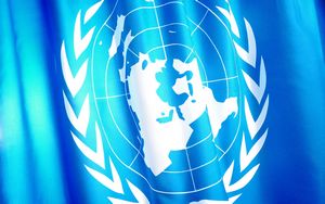 КНДР обратилась в ООН за содействием в борьбе с распространением ящура 
