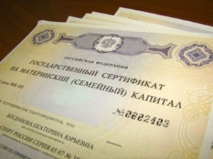 В Брянской области на улучшение демографической ситуации ориентировано около 14 млрд. рублей 