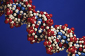 Разрабатывается потенциально недорогой метод расшифровки ДНК 