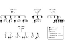 Найден ген-мутант, ответственный за наследование рака простаты