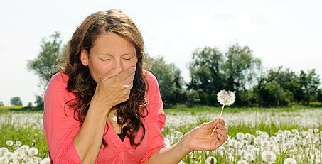 Как аллергия на пыльцу может воздействовать на развитие респираторных заболеваний
