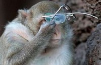 Новый ген объясняет, как люди эволюционировали из обезьян