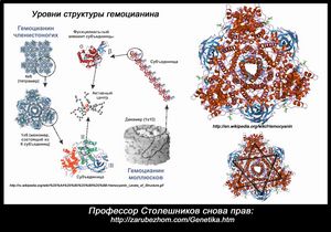 Комиссию по оценке решений ВОЗ по гриппу покинули два профессионала 