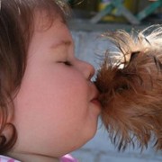 Поцелуи с собаками могут привести к потере зубов