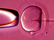 &quныеЛазейки&quрст в тестах привели к распространению зараженной спермы