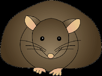 Трансплантация бурого жира способствовала снижению веса у мышей