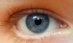 Выше 68 тысяч новозеландцев в возрасте старше 40 лет страдают от потери зрения 