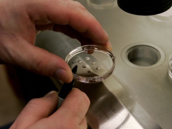 Американский суд отменил запрет на господдержку исследований клеток эмбрионов