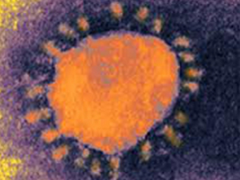 ВОЗ сообщила о второй жертве нового коронавируса