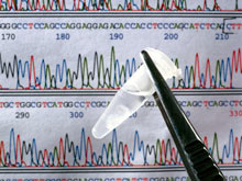 Южноамериканские врачи хотят включить в медкарты полную информацию о геноме