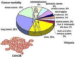Каждогодная смертность от рака к 2030 году составит 13 млн человек