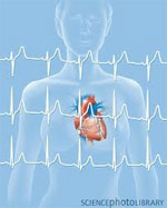 Уровень гормонов в период менопаузы может предсказать сердечный приступ