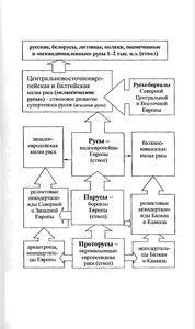 Правительство США развернуло кампанию по борьбе с детским ожирением 