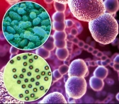 Исцеление инфекций без антибиотиков и риска формирования резистентности: новое исследование