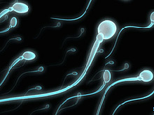 Ультразвук имеет все шансы стать контрацептивом для мужчин