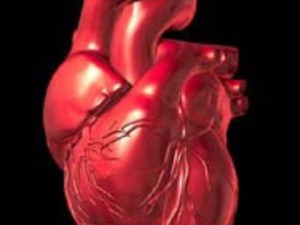 Возрастное снижение уровня тестостерона повышает риск заболеваний сердца