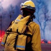 Открыт портал помощи пострадавшим от лесных пожаров в Сибири