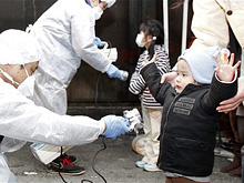 Образования на щитовидке у японских малышей - итог техногенной катастрофы, делают вывод ученые