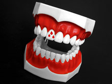 Мужская потенция зависит от состояния зубов, установили ученые