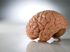 Неврологи советуют своевременно позаботиться о здоровье мозга