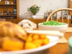 Эксперты советуют отдавать предпочтение домашней пище