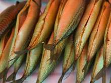 Медики развенчали миф об исключительной пользе жирной рыбы