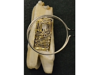 На зубы нанесли беспроводной графеновый детектор бактерий