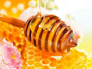 Китайская подделка: мед, лишенный пыльцы 
