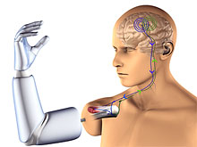 Впервые создана искусственная рука, контролируемая мозгом напрямую