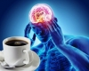 Кофеин и мозг: как работает стимулятор и чем он опасен при частом употреблении