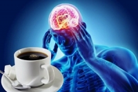Кофеин и мозг: как работает стимулятор и чем он опасен при частом употреблении