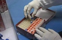 Создана первая в мире вакцина против лихорадки Денге