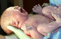 Родившиеся за несколько недель до срока детки болеют чаще сильно недоношенных