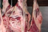 Редкая форма вирусного гепатита укладывает британцев на больничные койки Редкая форма вирусного гепатита укладывает британцев на больничные койки