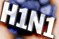 1-ый в 2011 году случай смерти человека от гриппа H1N1 зарегистрирован в Нижнем Тагиле 1-ый в 2011 году случай смерти человека от гриппа H1N1 зарегистрирован в Нижнем Тагиле