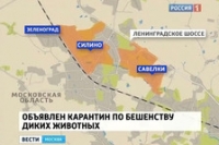 В Москву пришло бешенство: карантин объявлен в двух районах В Москву пришло бешенство: карантин объявлен в двух районах