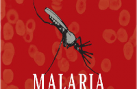 Малярия вернулась в Грецию