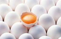 Чем полезны куриные яйца?
