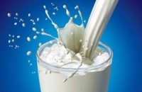 Сырое молоко опасно для здоровья