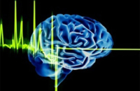 Ученые разработали программку по улучшению памяти у пациентов с Альцгеймером