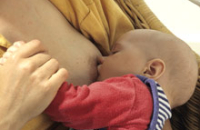 Донорское грудное молоко признано безопасным для детей