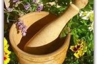 Профилактика эректильной дисфункции. Экстракты нони — это здорово! Профилактика эректильной дисфункции. Экстракты нони — это здорово!