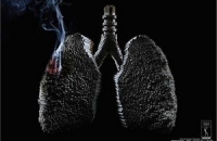 Сигареты без никотина вызывают рак быстрее, чем обычные
