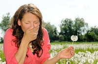 Как аллергия на пыльцу может воздействовать на развитие респираторных заболеваний