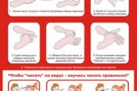 Массовая иммунизация от гриппа и ОРВИ начинается в Красноярье Массовая иммунизация от гриппа и ОРВИ начинается в Красноярье