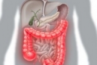 Лечение болезни Крона: найдено новое средство